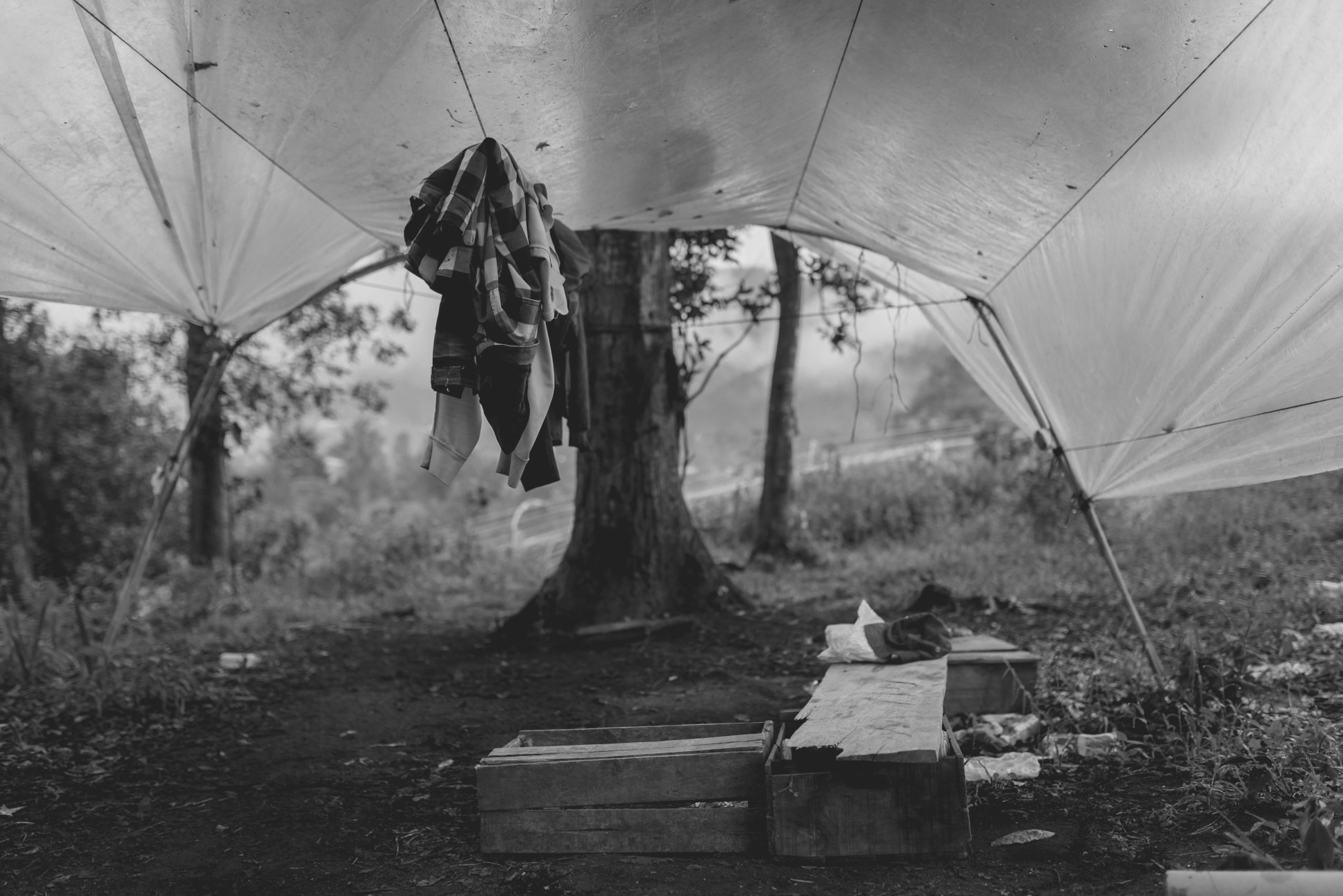 La importància de la valoració com a eix central de la Xarxa d’Inclusió Social