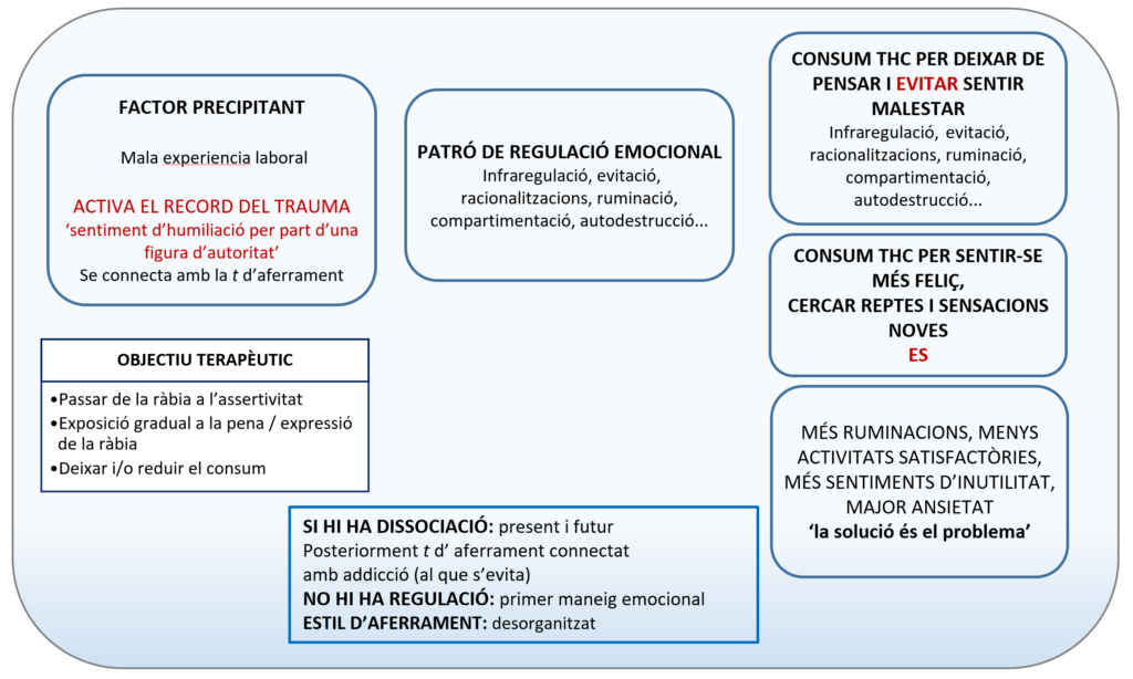 Anàlisi funcional de la conducta addictiva