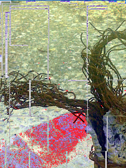 Recuperació i activació dels rituals socials per a la creació de comunitat