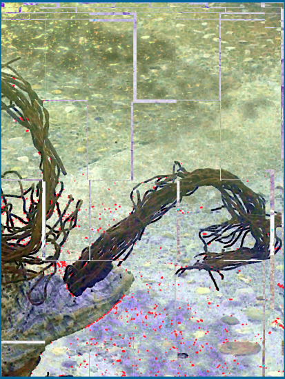 La modalitat formativa del grup d’aprenentatge (GAP) com a instrument per a l’aplicació de la perspectiva de gènere a l’administració pública