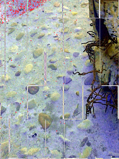 Acollida, intervenció i regularització documental de les persones menors d’edat migrants no acompanyades a Mallorca