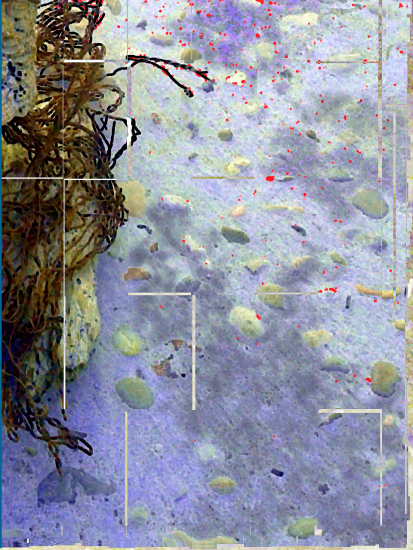 El model de rehabilitació de la residència Bonanova