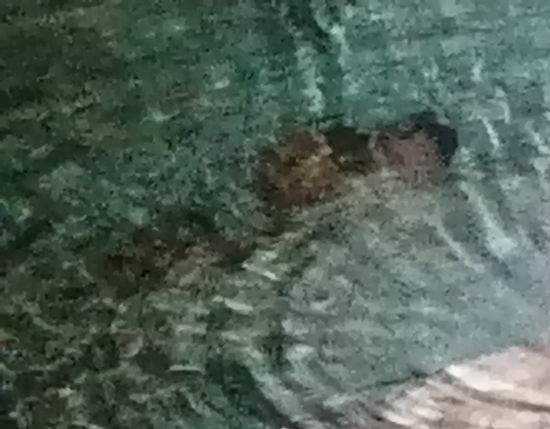 L’Església de Mallorca a les perifèries humanes i socials dels darrers quaranta anys