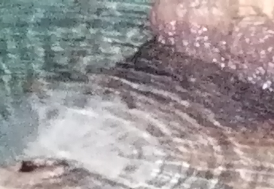 Addicció a noves tecnologies. Ús i abús de les xarxes socials i impacte en la salut mental a la infància i l’adolescència: trastorns de la conducta alimentària