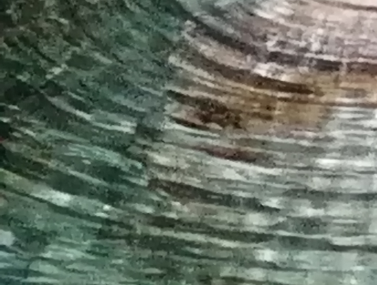 Serveis socials i treball comunitari: continuam a l’espera o sortim a la recerca de la comunitat?