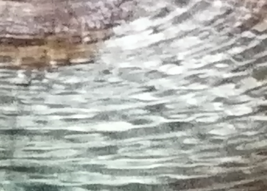 El maltractament a les persones majors: d’observadors a protagonistes. Conclusions d’una experiència educativa en un centre sociosanitari