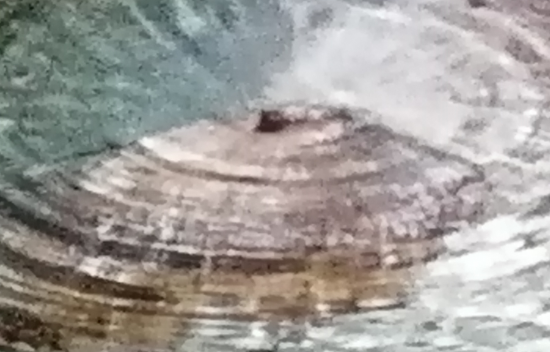 Accessibilitat universal: una història de desconeixement i reiterat incompliment de la normativa actual