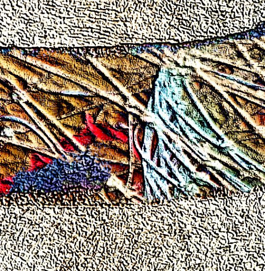 La importància de la formació destinada al personal de l’Administració pública. El paper de la persona formadora