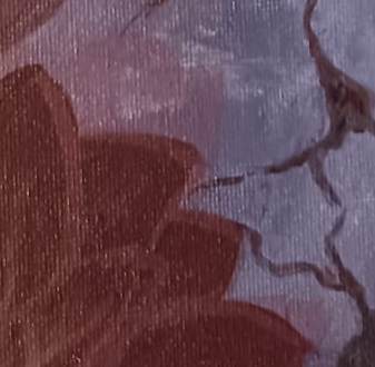 Banys de bosc: fonaments i aplicabilitat terapèutica en l’àmbit social i de la salut