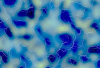 De la tutela a l’autonomia: modelterapèutic, bones pràctiques i resultats
